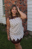 Cream/Brown Lace & Polka Dot Mini Dress