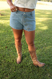 Denim Button Shorts